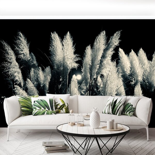 Carta da parati Canna nera 104x70 cm