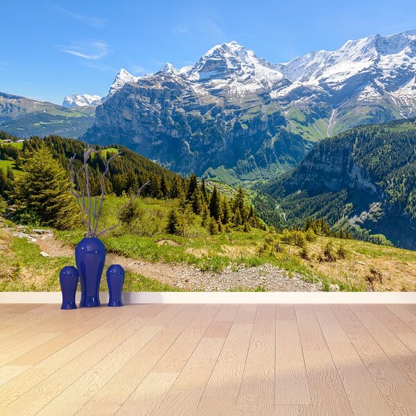 Carta da parati Alpi 104x70 cm