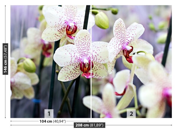 Carta da parati Fiori di orchidea 104x70 cm