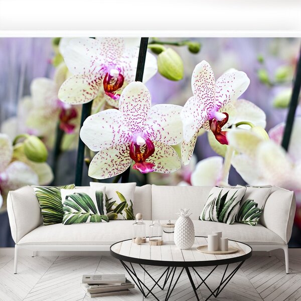Carta da parati Fiori di orchidea 104x70 cm