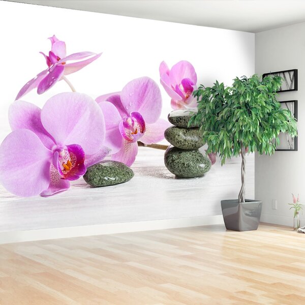 Carta da parati Orchid Spa 104x70 cm