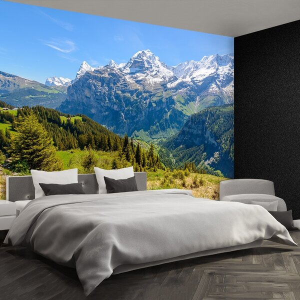 Carta da parati Alpi 104x70 cm
