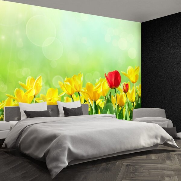 Carta da parati Tulipani gialli 104x70 cm