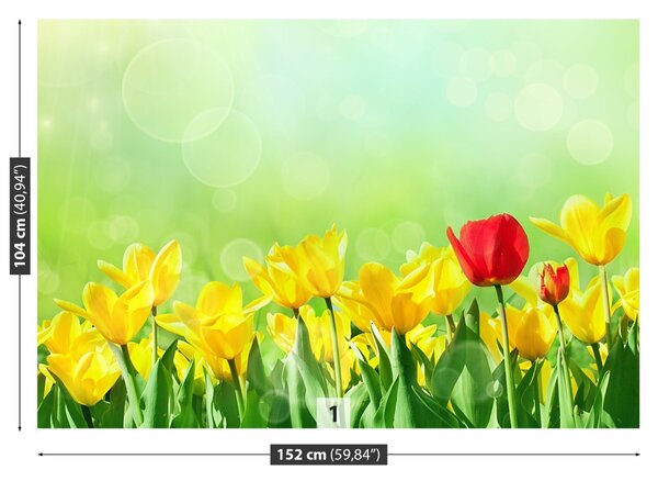 Carta da parati Tulipani gialli 104x70 cm