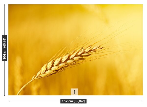 Carta da parati Orecchie di grano 104x70 cm
