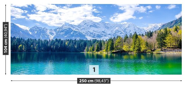 Carta da parati Lago di montagna 104x70 cm