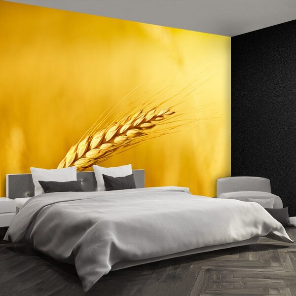 Carta da parati Orecchie di grano 104x70 cm