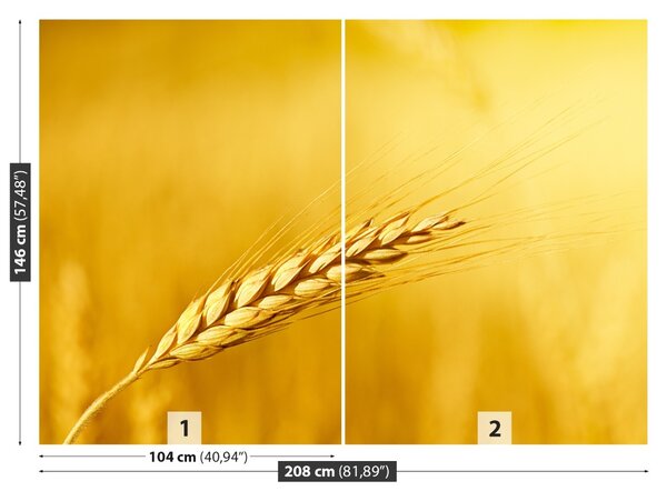 Carta da parati Orecchie di grano 104x70 cm