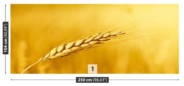 Carta da parati Orecchie di grano 104x70 cm