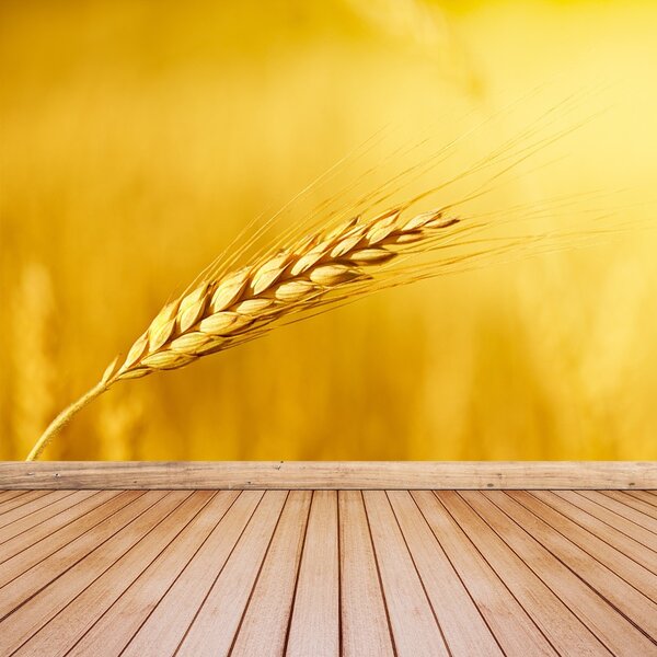 Carta da parati Orecchie di grano 104x70 cm