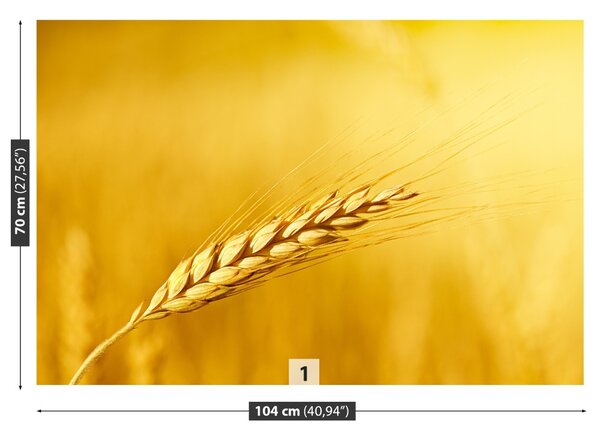 Carta da parati Orecchie di grano 104x70 cm