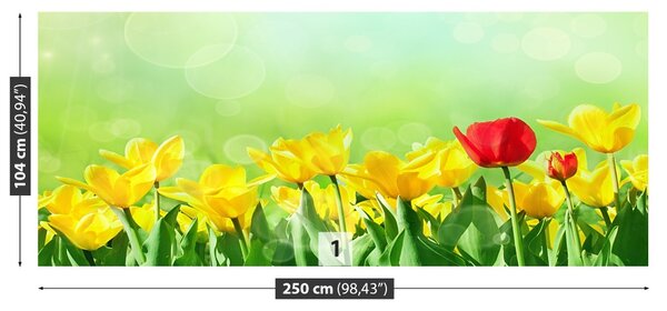 Carta da parati Tulipani gialli 104x70 cm