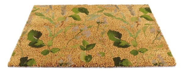Zerbino in fibre di cocco 40x60 cm Watercolour Leaves – Artsy Doormats