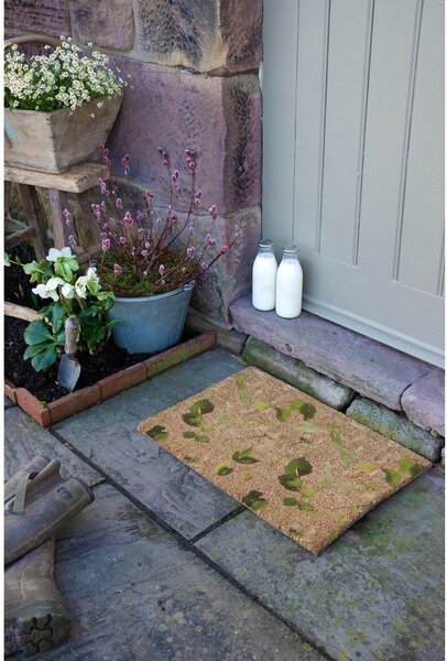 Zerbino in fibre di cocco 40x60 cm Watercolour Leaves – Artsy Doormats