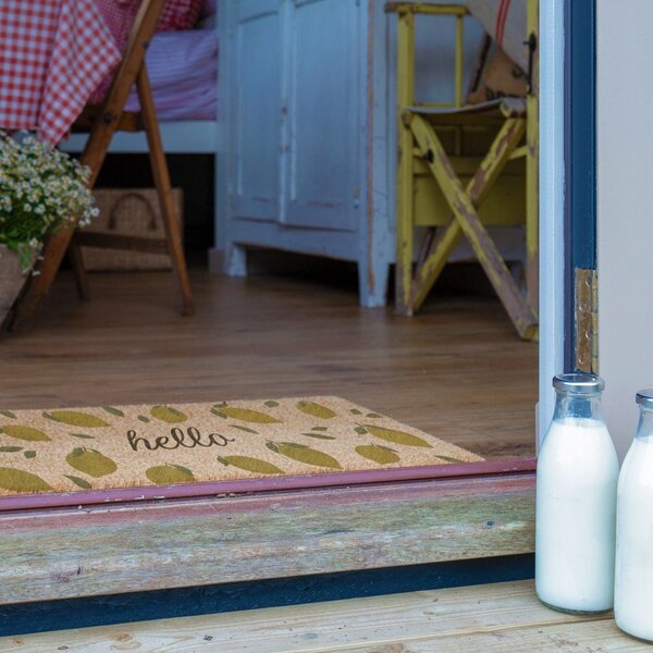 Zerbino in fibre di cocco 40x120 cm Hello Lemons – Artsy Doormats