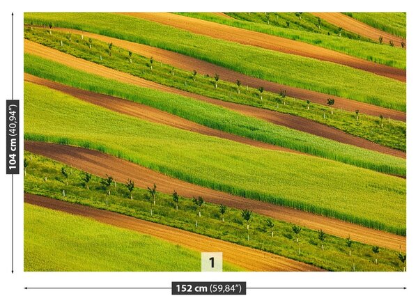 Carta da parati Nastri da campo 104x70 cm