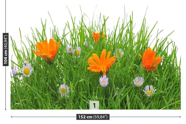 Carta da parati Fiori di Pasqua 104x70 cm
