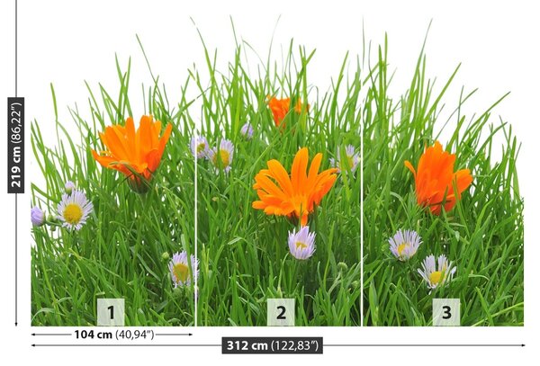 Carta da parati Fiori di Pasqua 104x70 cm