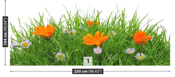 Carta da parati Fiori di Pasqua 104x70 cm