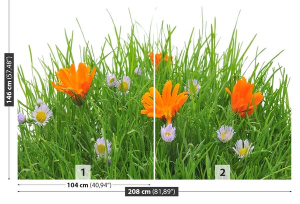 Carta da parati Fiori di Pasqua 104x70 cm
