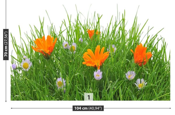 Carta da parati Fiori di Pasqua 104x70 cm