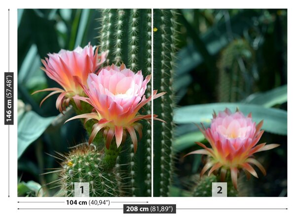 Carta da parati Cactus di fiori 104x70 cm