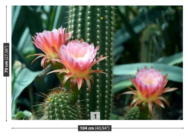 Carta da parati Cactus di fiori 104x70 cm