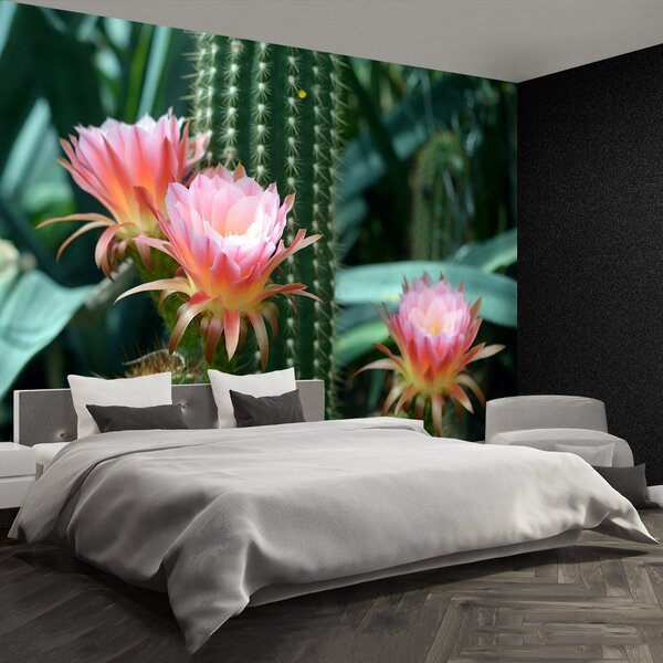 Carta da parati Cactus di fiori 104x70 cm
