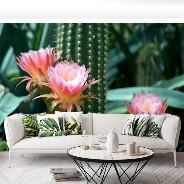 Carta da parati Cactus di fiori 104x70 cm