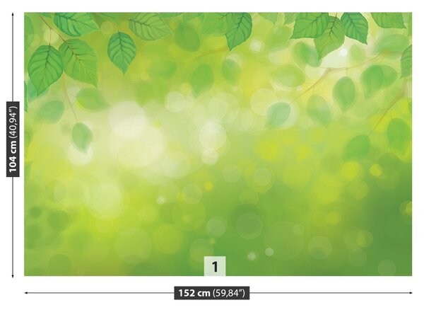 Carta da parati Foglie verdi 104x70 cm