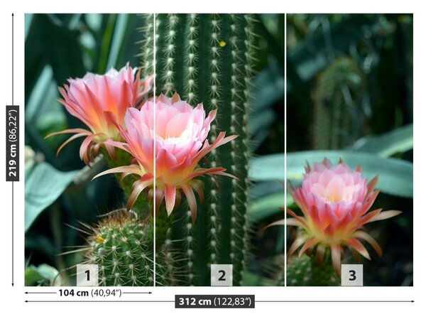 Carta da parati Cactus di fiori 104x70 cm