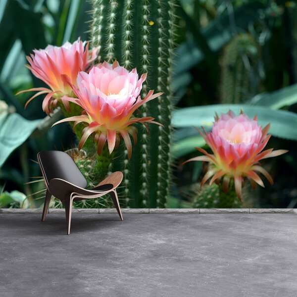 Carta da parati Cactus di fiori 104x70 cm