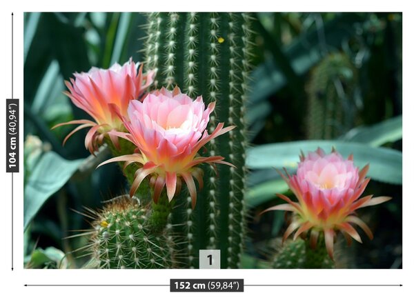 Carta da parati Cactus di fiori 104x70 cm