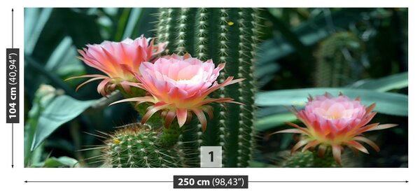 Carta da parati Cactus di fiori 104x70 cm