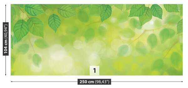 Carta da parati Foglie verdi 104x70 cm