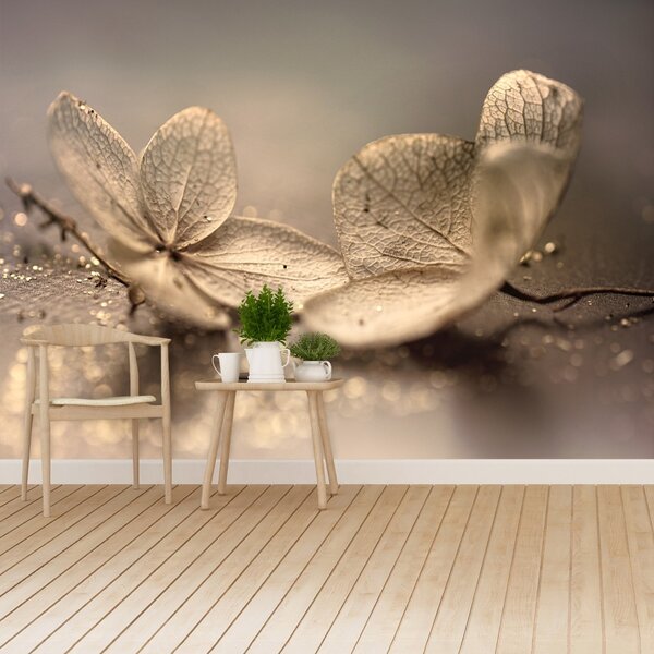 Carta da parati Beige Hydrancea 104x70 cm