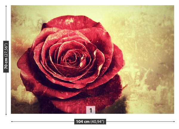 Carta da parati Rosa rossa 104x70 cm