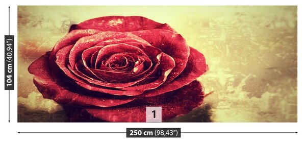Carta da parati Rosa rossa 104x70 cm