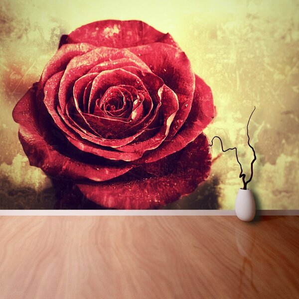 Carta da parati Rosa rossa 104x70 cm