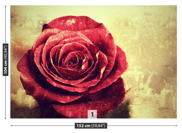 Carta da parati Rosa rossa 104x70 cm