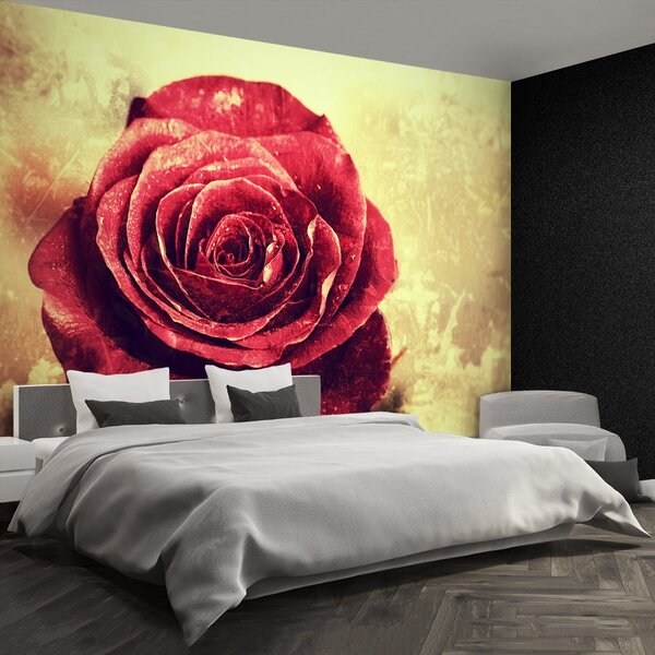 Carta da parati Rosa rossa 104x70 cm