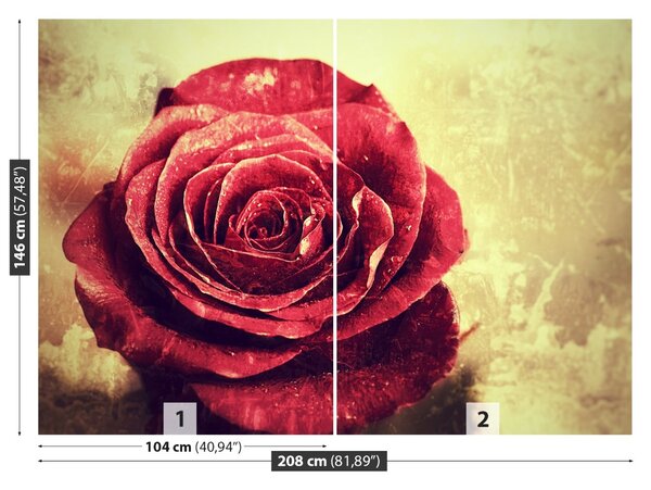 Carta da parati Rosa rossa 104x70 cm