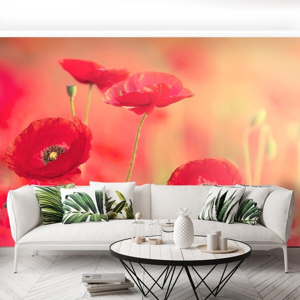 Carta da parati Poppies rossi 104x70 cm