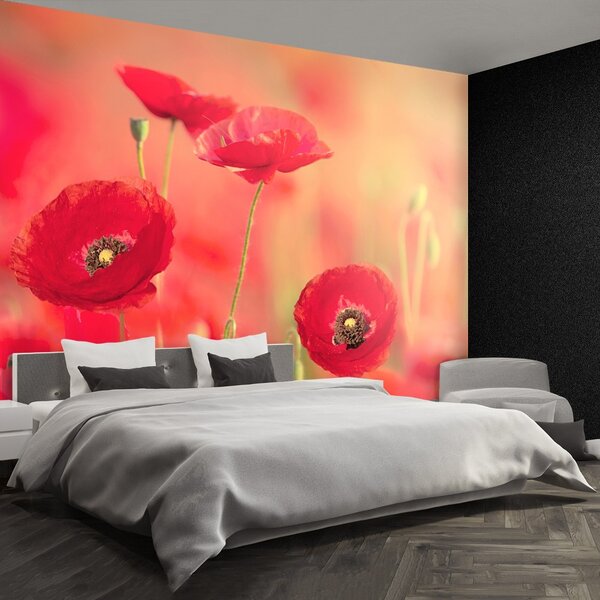 Carta da parati Poppies rossi 104x70 cm