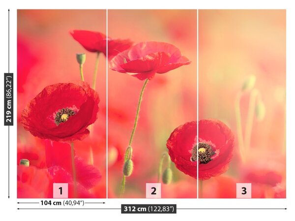 Carta da parati Poppies rossi 104x70 cm