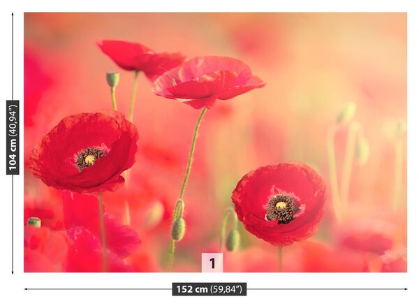 Carta da parati Poppies rossi 104x70 cm