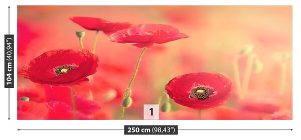 Carta da parati Poppies rossi 104x70 cm