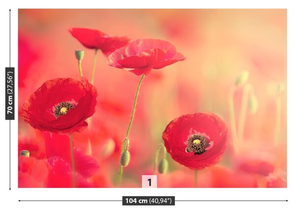 Carta da parati Poppies rossi 104x70 cm