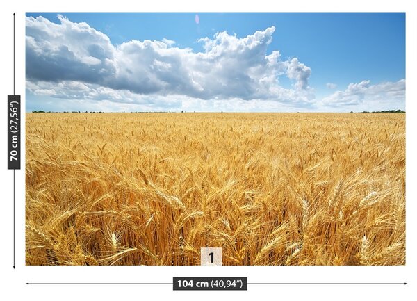 Carta da parati Campo di grano 104x70 cm