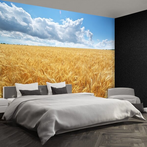 Carta da parati Campo di grano 104x70 cm